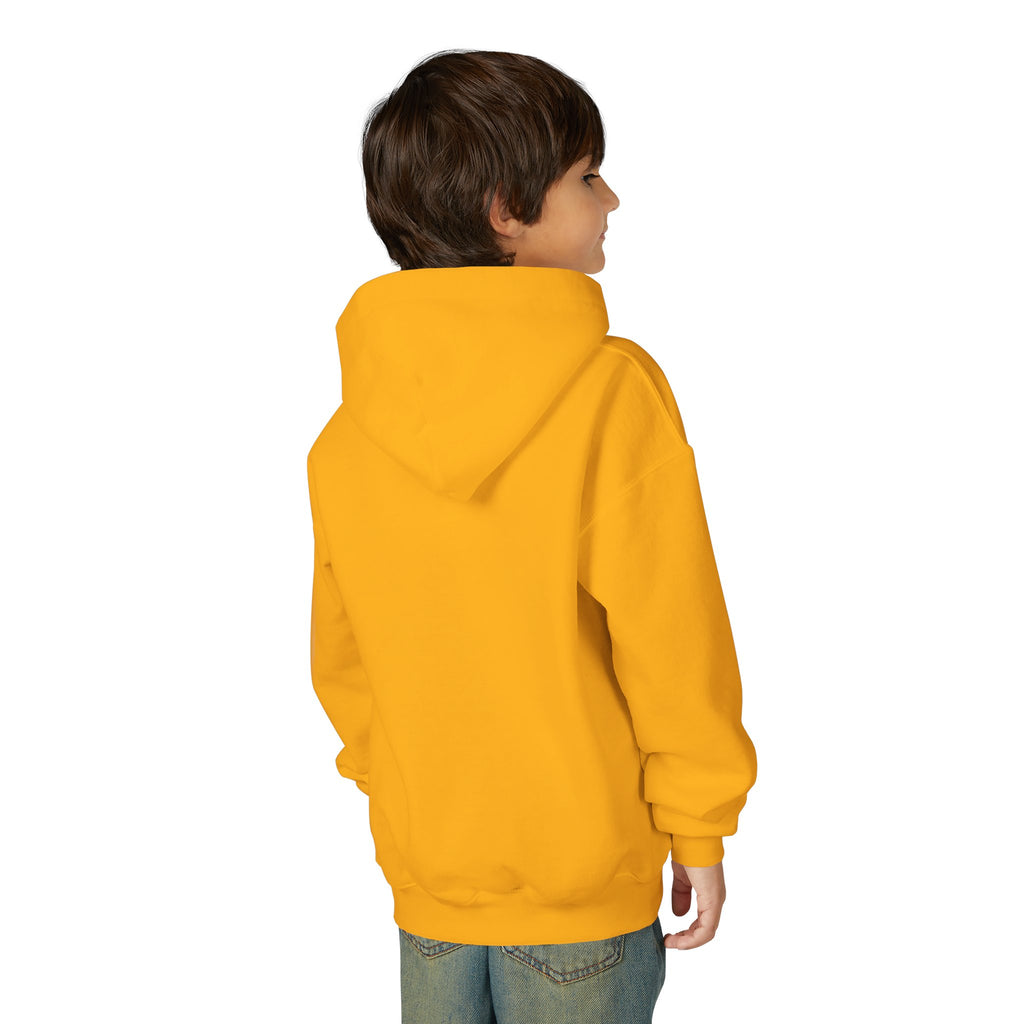 PS Discipline Youth Hoodie — Inspirational Kids Pullover