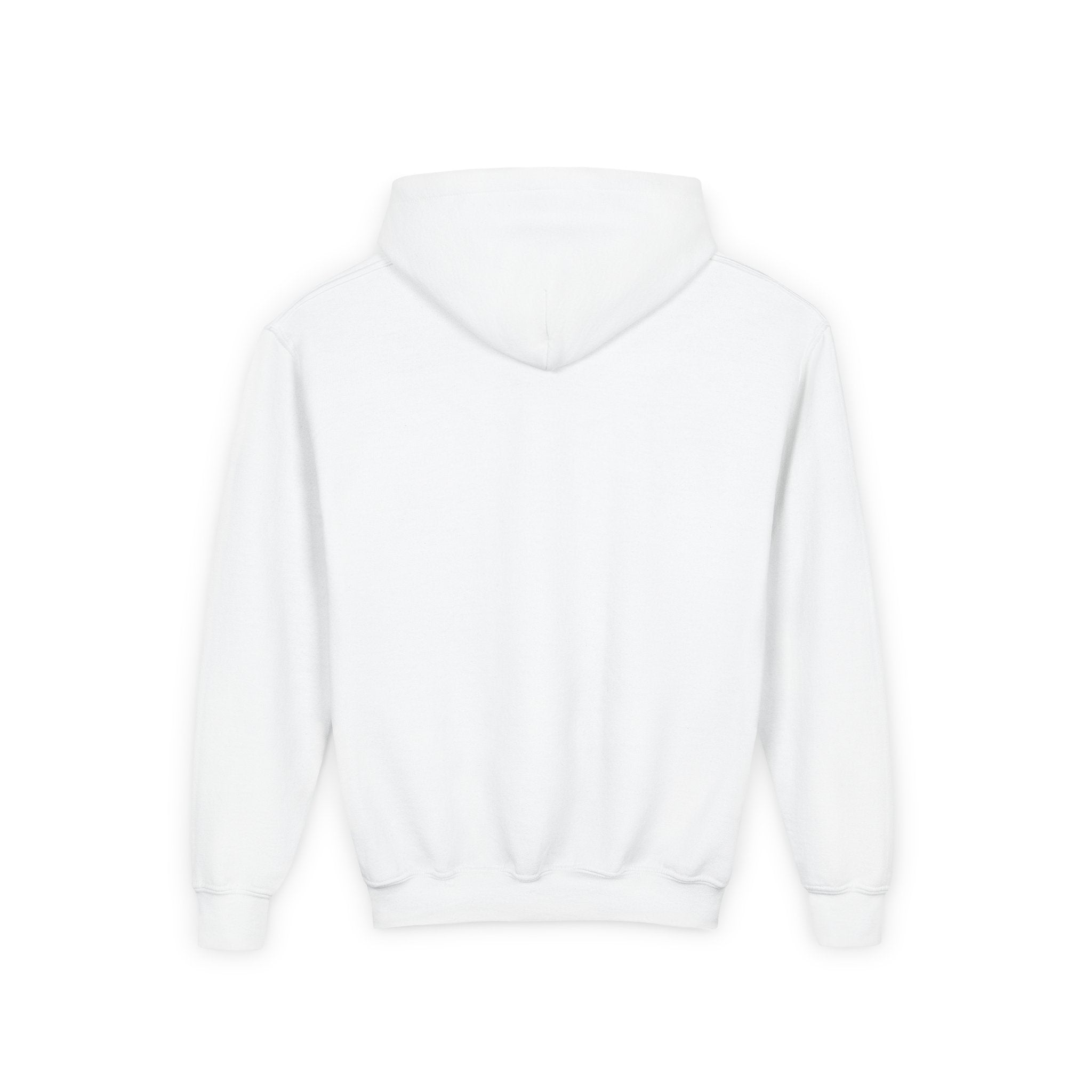 PS Discipline Youth Hoodie — Inspirational Kids Pullover