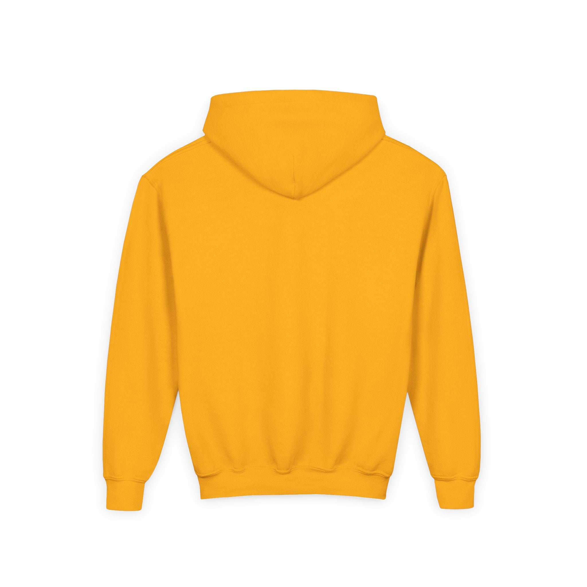 PS Discipline Youth Hoodie — Inspirational Kids Pullover